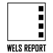 (c) Wels-report.at